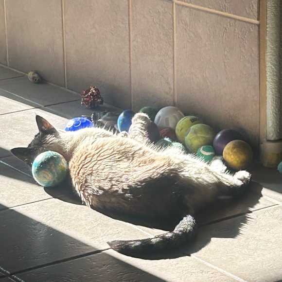 Hello...It’s me! Maxed out on Part 1!😍 - Picture 7 of 12